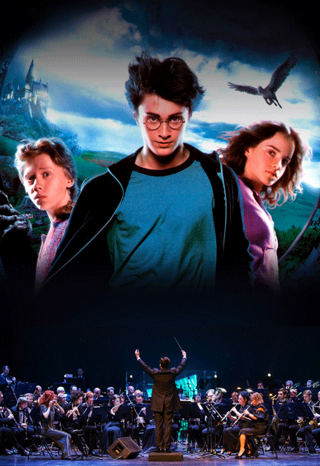 Оркестр в соборе «Harry Potter Symphony»