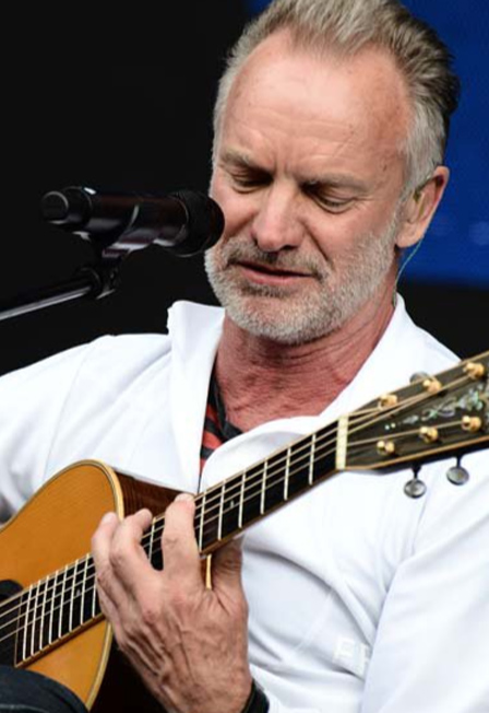 Simple Music Ensemble. Sting